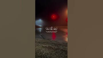 تلاوة خاشعة ومؤثرة جداً #اكسبلور #دويتو #تيك_توك #راحة_نفسية #حالات_واتس