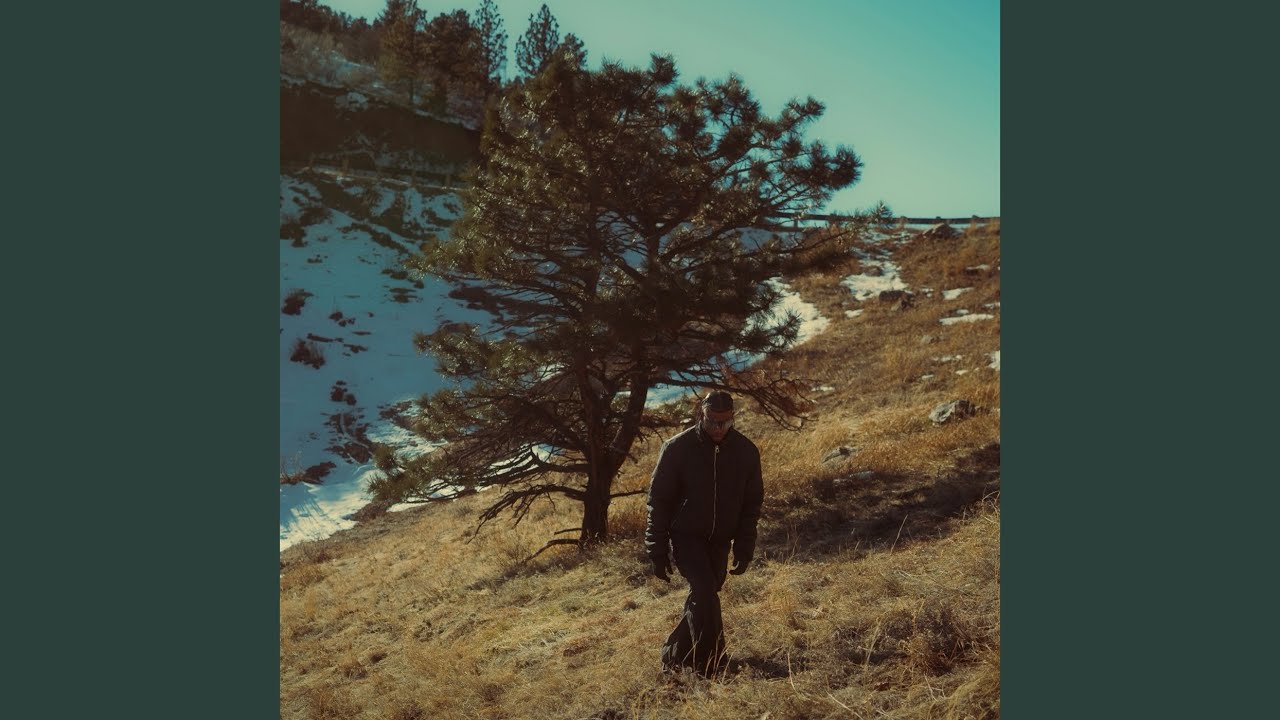 Fly auf YouTube ansehen Fly auf YouTube ansehen