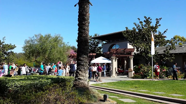 Divine Mercy Procession