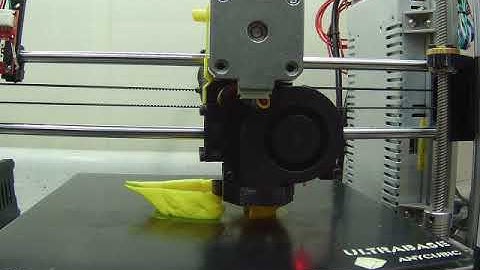 3D Printed T-Rex skull