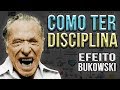 Como ter uma disciplina inabalvel  efeito bukowski