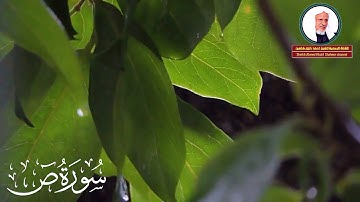 وَما خَلَقْنَا السَّمَاءَ وَالْأَرْض وَمَا بَيْنَهُمَا باطِلًا ۚ I تلاوة مباركـة من سورة ص Surah Sad