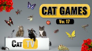 Download Lagu CAT Games | Ultieme katten-tv: insecten en vlinders compilatie deel 17 🪲 🐞🦋🦗🐜 MP3