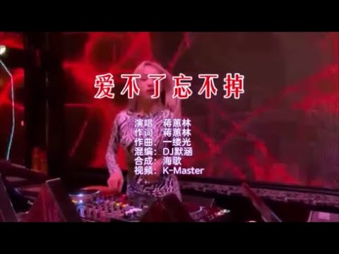 蒋蕙林 《爱不了忘不掉 （DJ默涵版）》 KTV 导唱字幕 （备有伴奏视频）