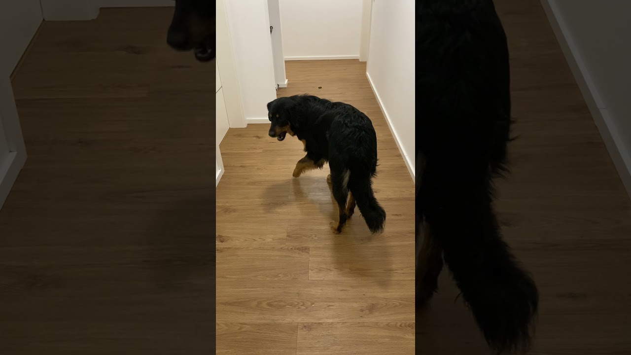 Adventschallenge Tag 1: Qara 10 Monate... macht wenigstens eine Teilaufgabe draus :-)