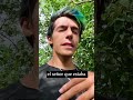 Nunca toques esta planta: Ik’aban