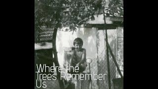 20. Bogdan Tiutiu - Where the Trees Remember Us