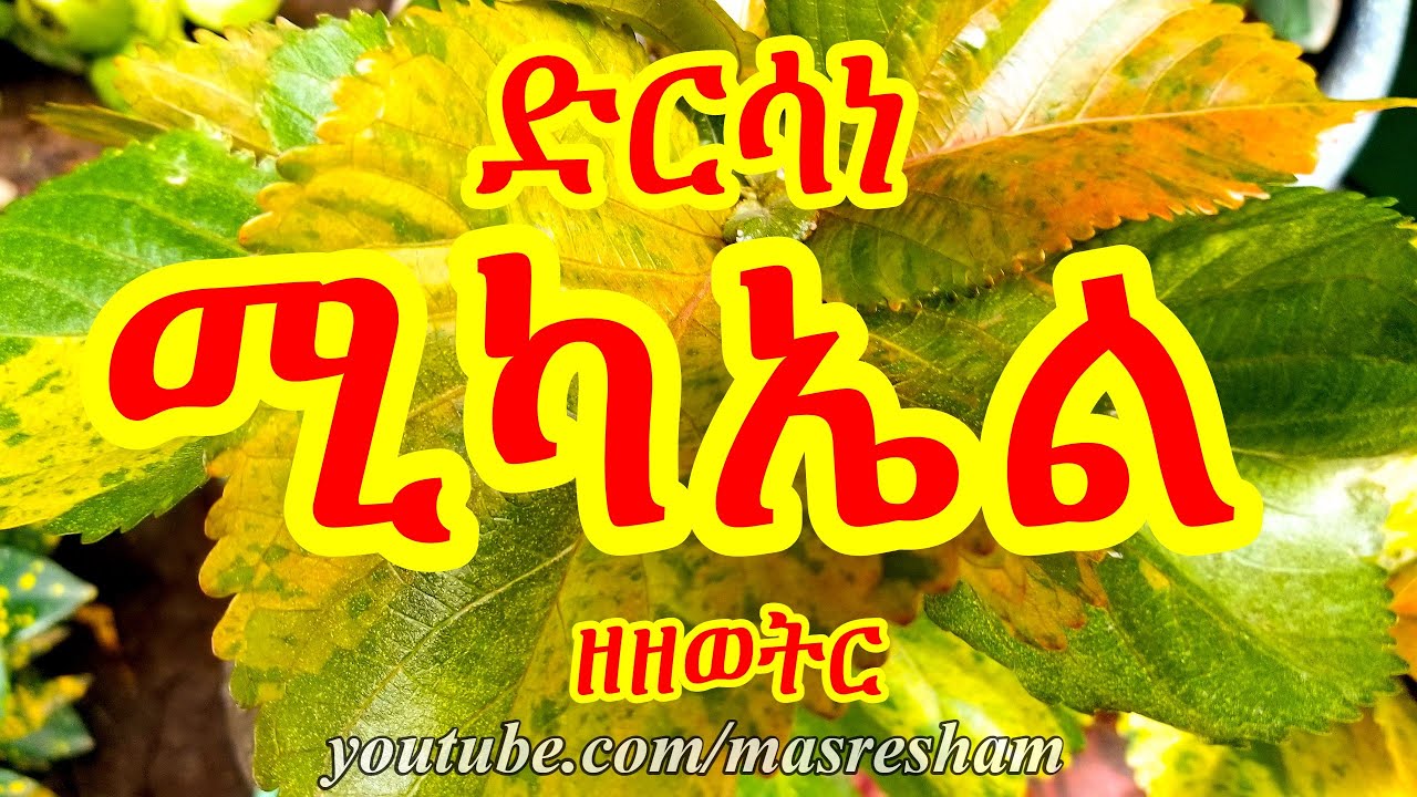 ድርሳነ ሚካኤል ዘዘወትር - Dirsane Michael Zezewetir