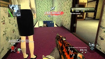 Call of Duty Black Ops - Flawless 30-0 Gameplay FFA - HD -