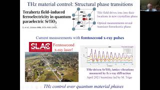 Strong Terahertz-frequency Light Fields, Dr. Nelson