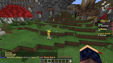 Insane Hacker Evidence - Mineplex