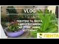 VLOG: магазин Лента и сдача батареек, шаурма-бар