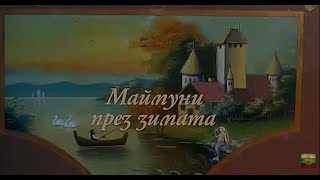 видео: МАЙМУНИ ПРЕЗ ЗИМАТА - БГ ФИЛМ (2006) картинка: МАЙМУНИ ПРЕЗ ЗИМАТА - БГ ФИЛМ (2006)