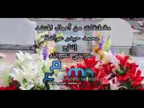 جميع أناشيد محمد حيدر عواضة