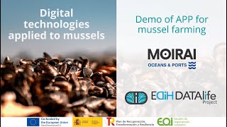 Demo of APP for mussel farming | MOIRAI screenshot 4
