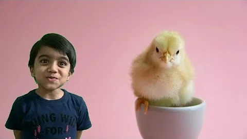 Mrs Hen Rhymes | English Rhymes | JKG CBSE Rhymes | Nursery Rhymes