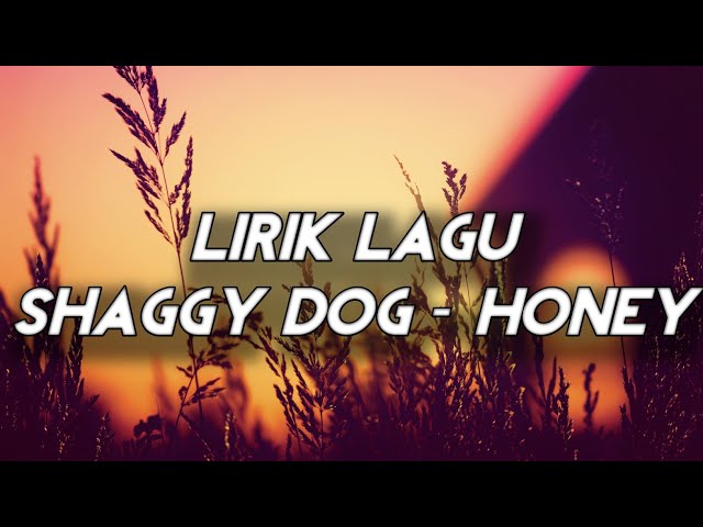 Lirik Lagu || Shaggy Dog - Honey class=