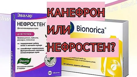 🌹ЦИСТИТ, ЧТО ВЫБРАТЬ, КАНЕФРОН ИЛИ НЕФРОСТЕН.ПРОФИЛАКТИКА ЦИСТИТА. МОИ ОПЫТ