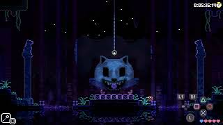 animal well glitched any% 10:01