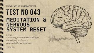 Brown Noise 10 Hours | Test 043 — Meditation & Nervous System Reset | Black Screen