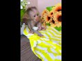 Sequence 01 1 4 002 3