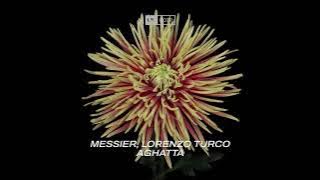 Messier, Lorenzo Turco - Aghatta