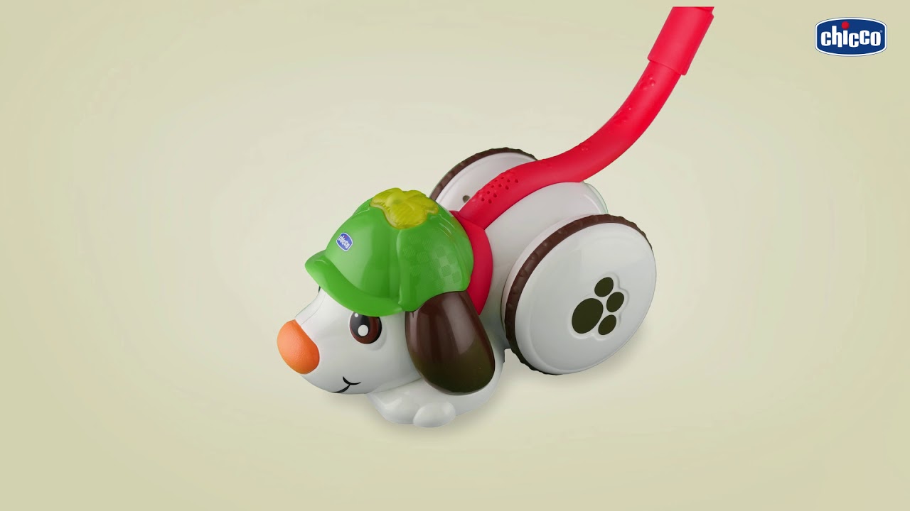 Detective Dog Собакадетектив YouTube