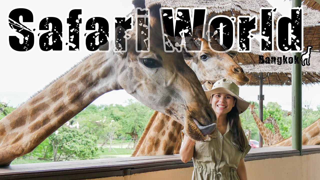 EP:1 ตะลุยซาฟารีเวิลด์ l Safari World โซนมารีนปาร์คกับโซนซาฟารีปาร์ค