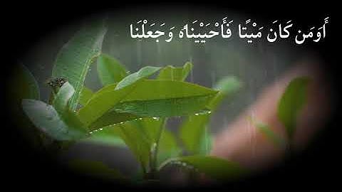 الآية 122 من الأنعام