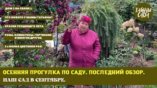 видео: 2023. САД МАМЫ ТАТЬЯНЫ. РОЗЫ. ГОРТЕНЗИИ. КЛЕМАТИСЫ и многое другое. ОСЕННЯЯ ПРОГУЛКА ПО САДУ. картинка: 2023. САД МАМЫ ТАТЬЯНЫ. РОЗЫ. ГОРТЕНЗИИ. КЛЕМАТИСЫ и многое другое. ОСЕННЯЯ ПРОГУЛКА ПО САДУ.