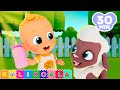 Baa Baa Black Sheep 🐑 and more Nursery Rhymes | KOLI KOALA | Kids Songs