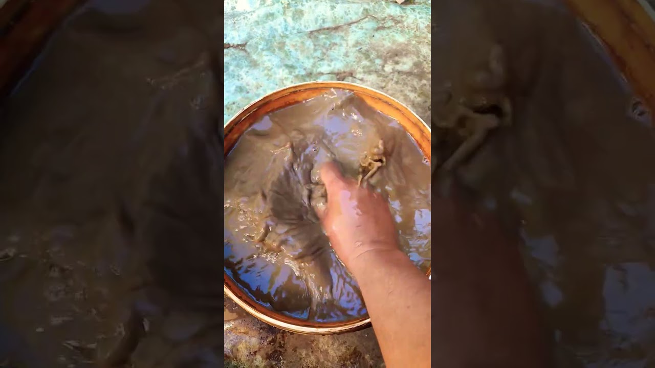 900 Charged Shorts - YouTube Auto PHP Script