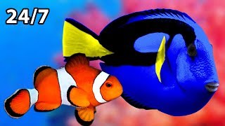 🔴 Beautiful Relaxing Aquarium 24/7 🐟🐠 Soothing Sounds For Sleeping, Studying, Relaxing, Insomnia