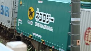 JR貨物 ここにもヤマト運輸ネコロジー有り 貨物列車5052レ EF210-131[岡]＋コキ 2014/07/19