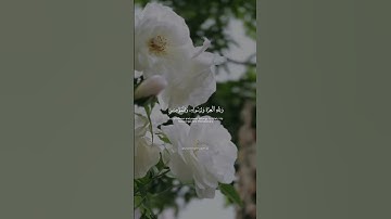 ولِلهِ العِزَّةُ وَلِرَسُولِهِ || طارق محمد || من سورة المُنافِقون