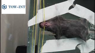 Pulmonary Aerosolizer Liquid Type - Tow-Int