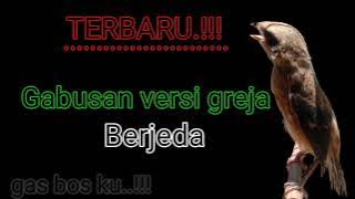 #masteranburung #burunggreja #kicaumania Suara Gabusan versi greja berjeda