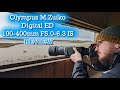 Olympus M.Zuiko Digital ED 100-400mm f/5-6.3 IS Review | RSPB Frampton Marsh