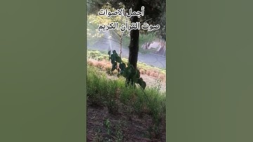 اللهم اجعل♥️🌹💐 القرآن ربيع قلوبنا ونور صوت القرآن الكريم بصوت جميل للشيخ مشاري العفاسي # #تصويري