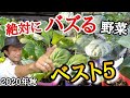 【家庭菜園ランキング】園芸店長が今年流行る家庭菜園用お野菜ランキングベスト５を発表！　初心者が作るべき野菜はこれです  japan garden