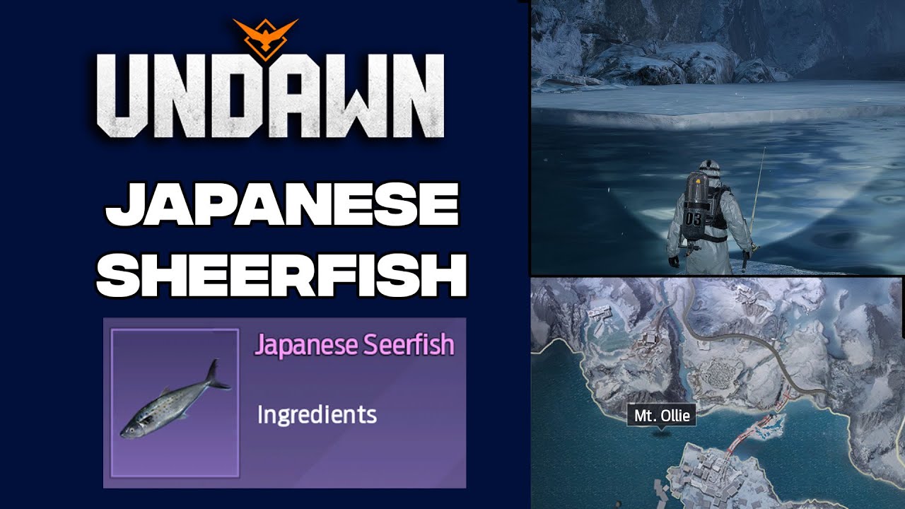 UNDAWN - Japanese Sheerfish