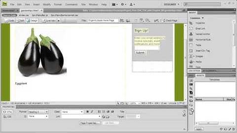 Adope Dreamweaver Tutorial CS4 The Assets Panel
