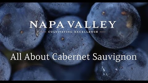 Cultivating Excellence - All About Cabernet Sauvignon