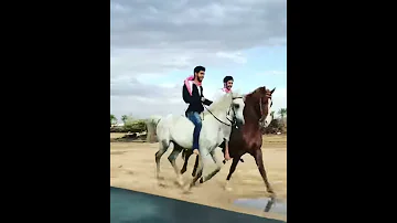 الشاعرابن سميطان نضيق 