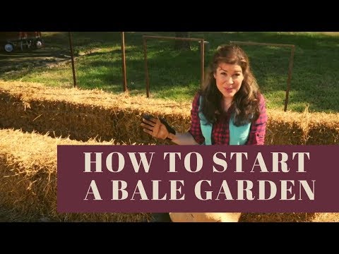 How to Begin "Hay Bale" Gardening or How to Start a Straw Bale Garden