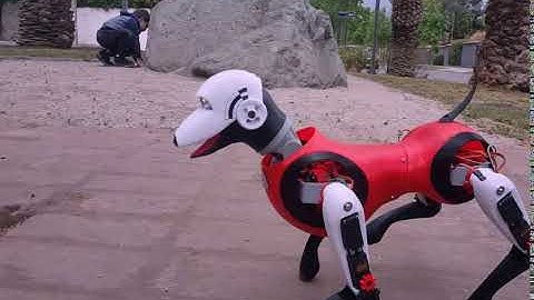 KiE K-9 Robot Dog