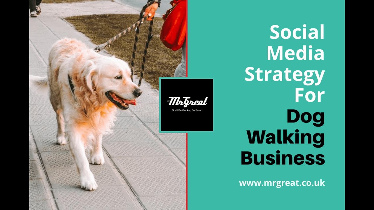 How Do You Market A Dog Walking Business