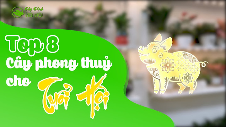 Cây phong thủy dùng cho tuổi hợi là cây gì