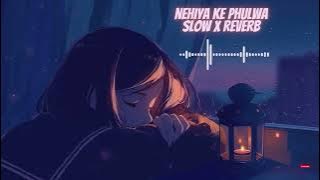 Nehiya ke Phulwa - Slowed X Reverb | Dinesh Lal | Madhu Sharma