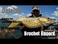 Brochet record djouez les conditions difficiles le downsizing